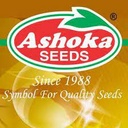 Ashoka seeds