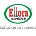 Ellora Seeds