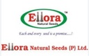 Ellora seeds